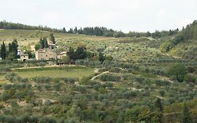 Agriturismo Podere Somigli Di Lorenzo Correani